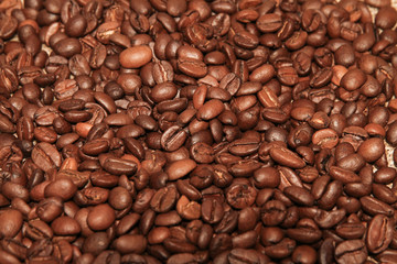 Roasted Coffee Beans