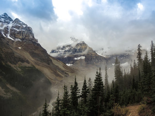 Wald und Berge am Lake Louise