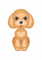 Fototapeta premium Toy poodle. Vector image of a cute purebred dogs in cartoon style.