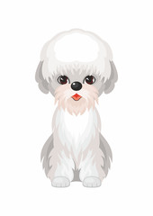  Dandie Dinmont Terrier. Vector image of a cute purebred dogs in cartoon style.