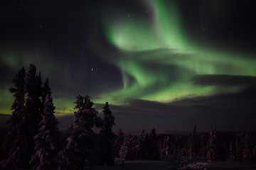 Fototapeta na wymiar Alaska's northern lights- aurora