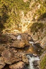 beautiful river with rocks in forest