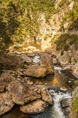 beautiful river with rocks in forest