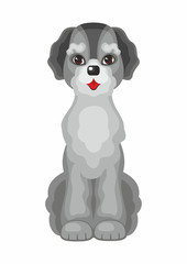 labradoodle. Vector image of a cute purebred dogs in cartoon style.