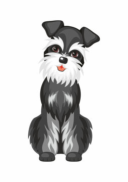 Standart Schnauzer .Vector image of a cute purebred dogs in cartoon style.