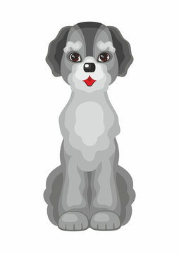 labradoodle. Vector image of a cute purebred dogs in cartoon style.