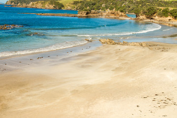 coastline with sand beach and rocks, sea background, new zealand nature
