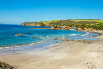 Fototapeta na wymiar coastline with sand beach and rocks, sea background, new zealand nature