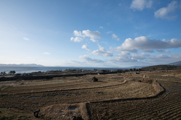 Biwa lakeside  rice field,shiga tourism of japan