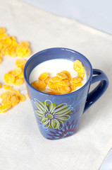 Healthy breakfast of yogurt and corn flakes