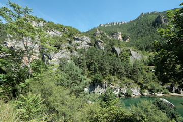 Fototapeta na wymiar Gorges du Tarn , Occitanie dans le sud de la France