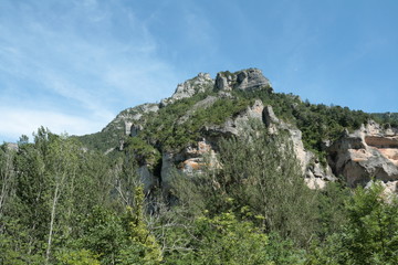 Fototapeta na wymiar Gorges du Tarn , Occitanie dans le sud de la France