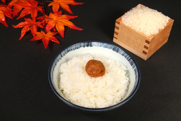 米とご飯