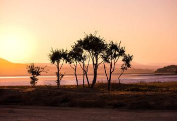 Fototapeta na wymiar Trees silhouetted on a lake with vibrant sunrise