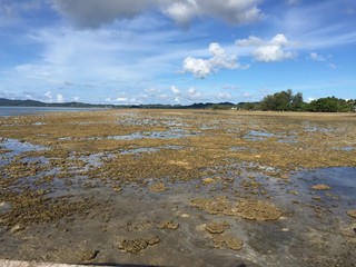 Low Tide in Palau