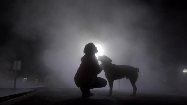 Silhouette of woman caressing a dog on a illuminated night on a foggy day. 4k