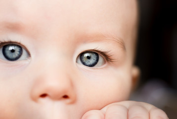 Beautiful baby's blue eyes - obrazy, fototapety, plakaty