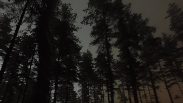 Running backwards through a scary forest at night.