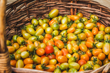 Pile of fresh tomatoes. Close-up