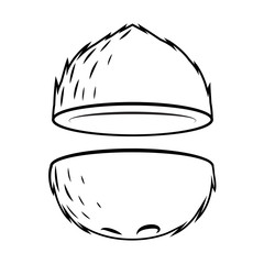 graphic coconut, vector