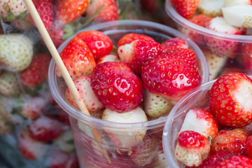 Strawberry Fresh from the garden in North of Thailand

