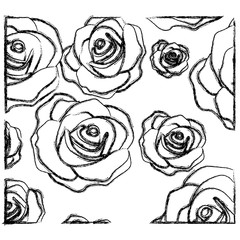 figure roses with their petals icon, vector illustraction design