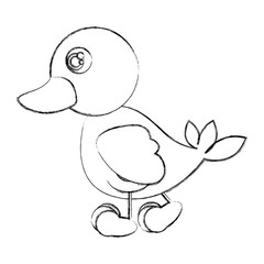 figure duck walking icon, vector illustraction design