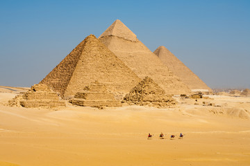 Row of Camels Walking at Great Egyptian Pyramids in Giza, Egypt - obrazy, fototapety, plakaty
