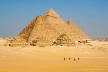 Tuinposter Rij kamelen wandelen bij grote Egyptische piramides in Gizeh, Egypte © Pius Lee