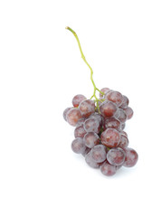 grapes with a against white background