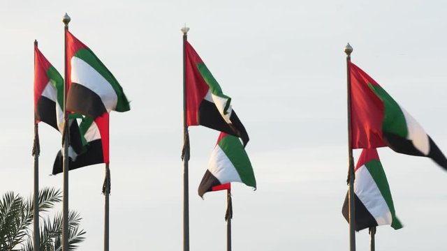 Flags of UAE waiving on the wind in day time. 