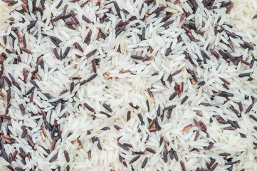 Closeup pile of mix rice by jasmine rice and riceberry rice textured background