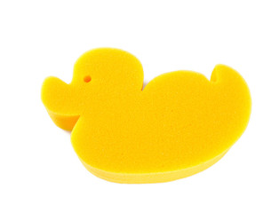 duck sponge isolated on white
