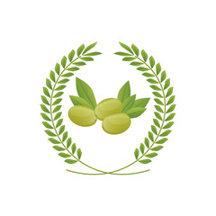 Olive oil healthy food icon vector illustration graphic design