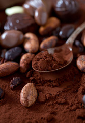 cocoa and chocolate candies