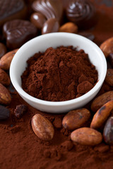 cocoa powder in a white bowl