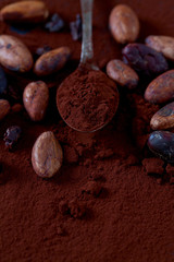 cocoa beans and powder