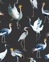 Watercolor vector african crane pattern