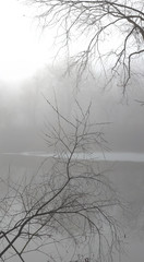 Fog over water in the spring in the early morning.
