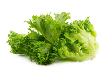 green frillies iceberg lettuce on white background.