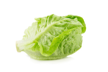 Romain Lettuce isolated on a white background.