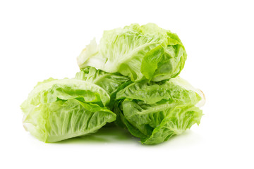 Romain Lettuce isolated on a white background.