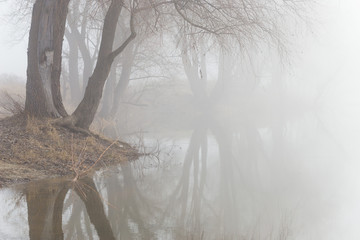 Fog over water in the spring in the early morning.