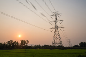 Electricity in rice field