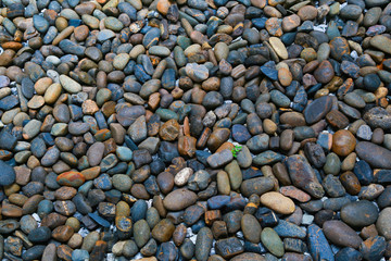 stone wall texture photo, stone background , stone floor texture, white stone floor in the garden