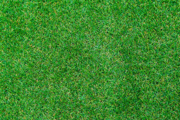 Top view of Artificial Grass