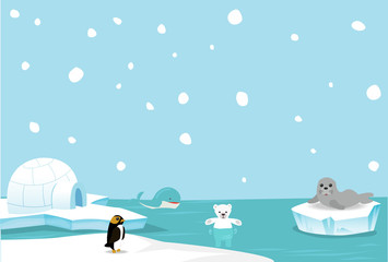 Artic animal background