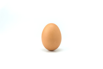 The egg in white background 