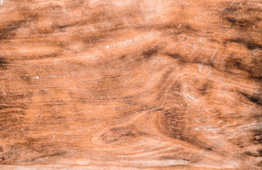 leaves in nature can use a wallpaper. Leaves on sky background.