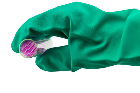 Capillary tube  on hand of scientist with blue glove on white .Saved with clipping path ,selective focus.